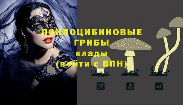 дживик Нефтекумск