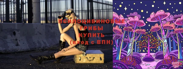 шишки Новозыбков