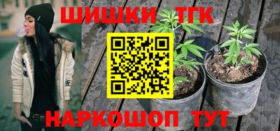 молекула духа Бийск