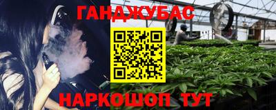 молекула духа Бийск