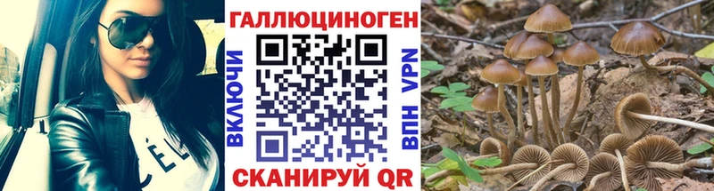 Псилоцибиновые грибы Psilocybine cubensis  Нягань 