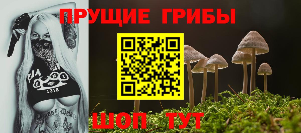 Нягань  Псилоцибиновые грибы мицелий  Вход с VPN 