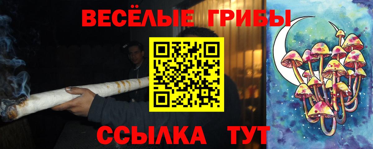 хочу наркоту  Нягань  Псилоцибиновые грибы ЛСД  Галлюциногенные грибы Cubensis 